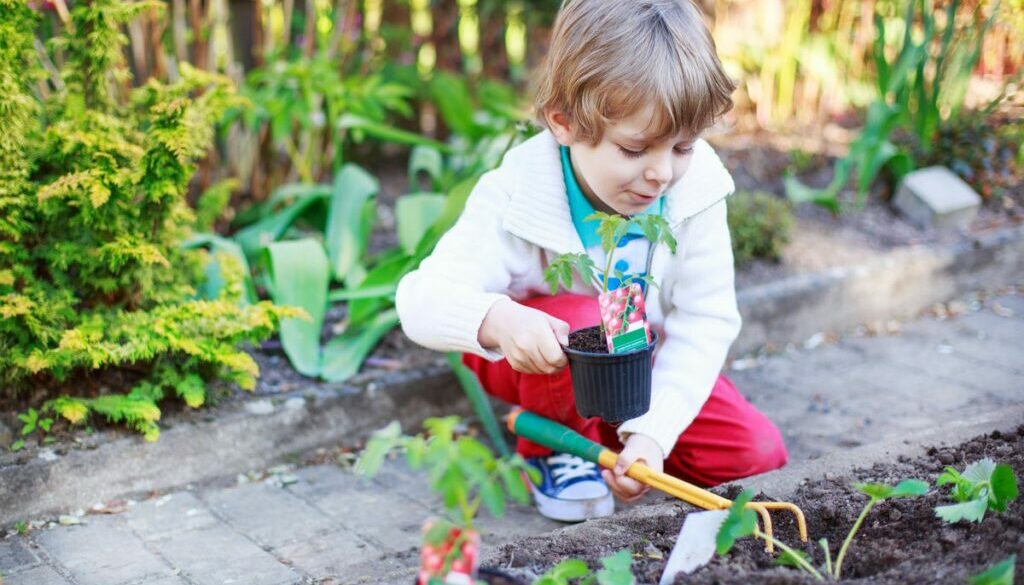 Boy planting seeds in the garden