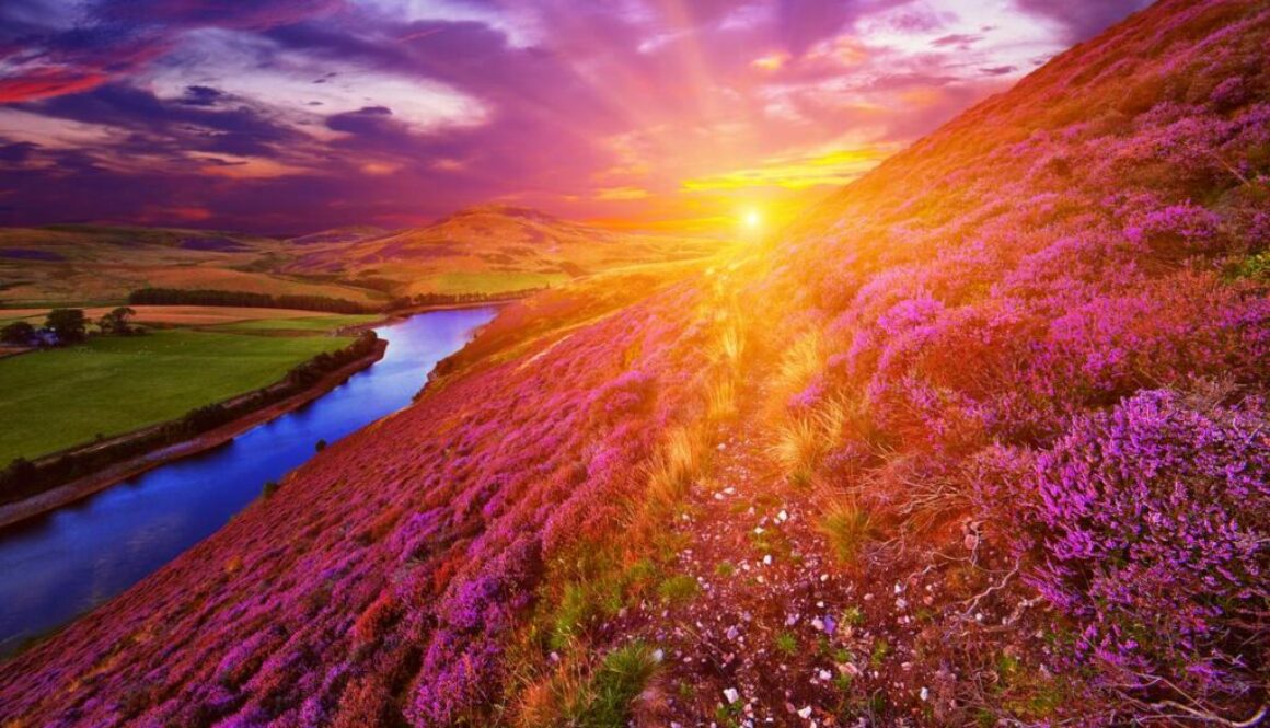 Beautiful landscape of scottish nature